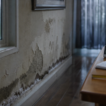 Humidité dans la maison : traces sombres et buée sur mur près des fenêtres